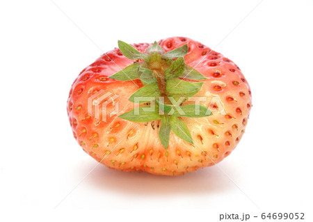 あまおう 64699052