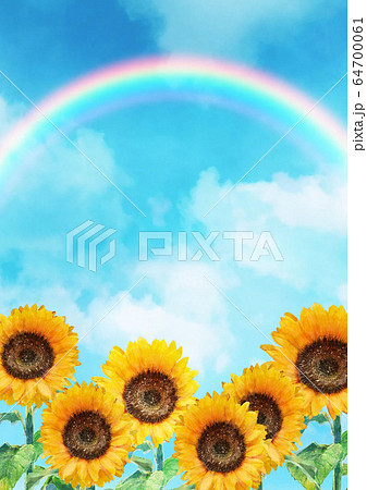 虹が架かった空とひまわり畑のイラスト素材 [64700061] - PIXTA