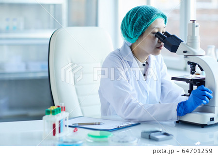 Doctor examining samples at office 64701259