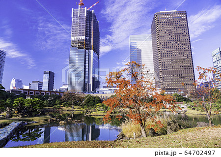 （東京都）秋の旧芝離宮恩賜庭園 64702497