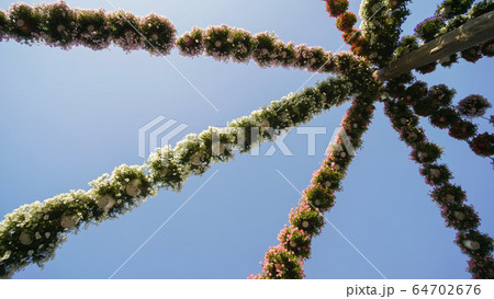 Hanging garlands of fresh flowers in a city park. 64702676