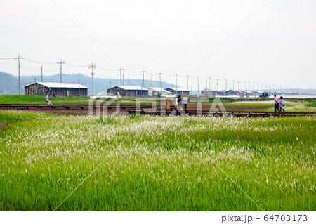 証 島 新案 64703173