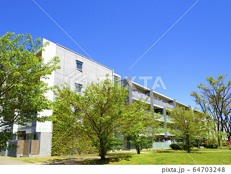 大規模な低層階マンション 64703248