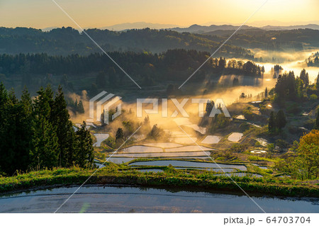 初夏の星峠の棚田 朝の風景 雲海 新潟県 の写真素材