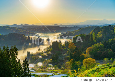 初夏の星峠の棚田 朝の風景 雲海 【新潟県】 初夏の星峠の棚田 朝の風景 雲海 【新潟県】 64703717