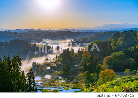 初夏の星峠の棚田 朝の風景 雲海 【新潟県】 初夏の星峠の棚田 朝の風景 雲海 【新潟県】 64703718