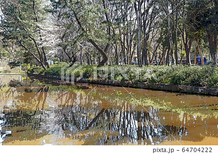 名古屋城点景 名古屋城点景 64704222