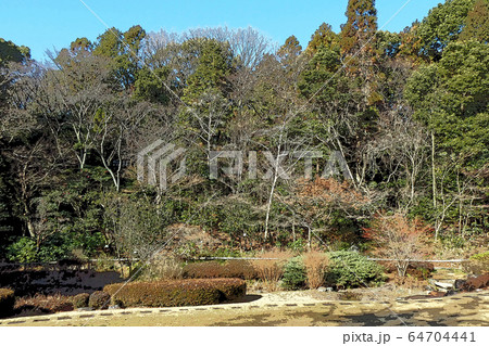 東山動植物園点景 64704441