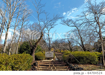 東山動植物園点景 64704524