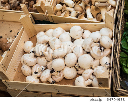 マッシュルーム　パリのマルシェ 64704938