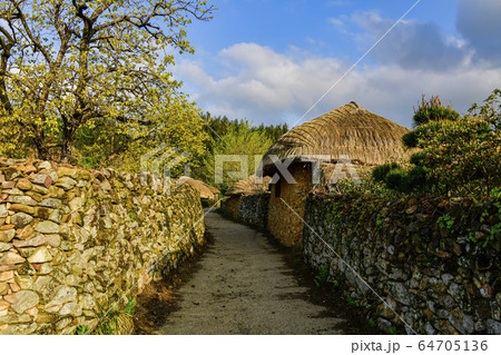 春 丸屋 楽安邑城 64705136