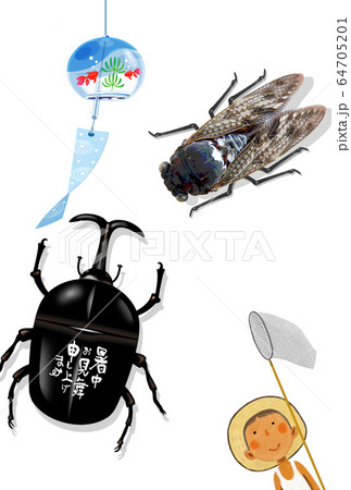 暑中見舞い　暑中ハガキ　背景素材 64705201