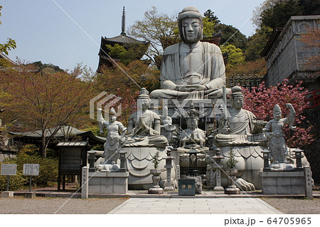 壺阪寺 (南法華寺)  天竺渡来大釈迦如来石像 64705965