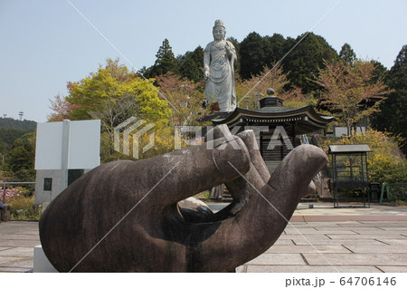 壺阪寺 (南法華寺)  天竺渡来大観音石像と御手 64706146