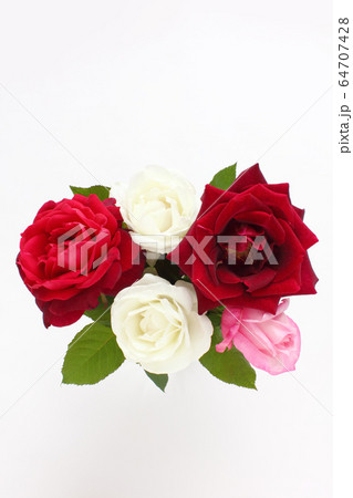 バラのアレンジ（縦）（パパメイアン、ヴィルゴ、クリスチャンディオール、他） 64707428