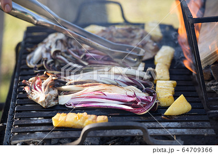 Italian style barbecue, with vetetables and radicchio di treviso 64709366