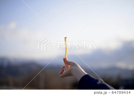 フライドポテト 64709434