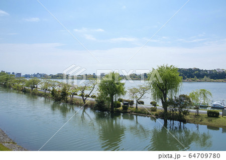 偕楽園から千波湖の眺め 偕楽園から千波湖の眺め 64709780