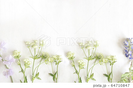 ホワイト木目＿春の花アンダーライン 64710847