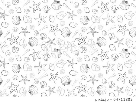 貝とヒトデの背景イラスト モノクロのイラスト素材 64711805 Pixta