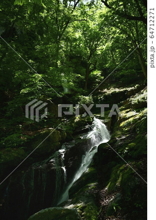 新緑の栃本地区林業人の守護神大除沢不動滝上中段 新緑の栃本地区林業人の守護神大除沢不動滝上中段 64712271