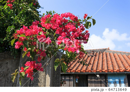 日本最南端、沖縄県波照間島・3月の風景 64713649