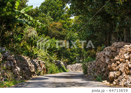 日本最南端、沖縄県波照間島の風景 日本最南端、沖縄県波照間島の風景 64713659