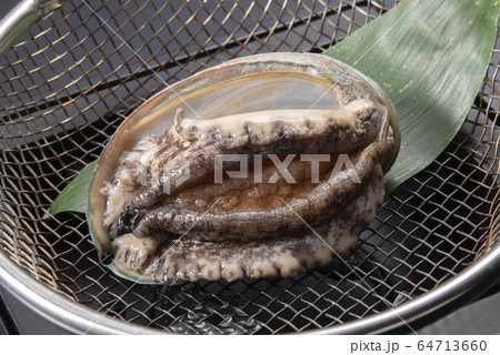 美味しいあわび 64713660