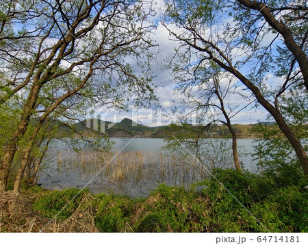 自然 自然の風景 風景 64714181