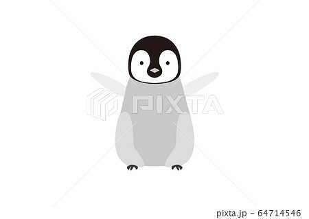 かわいい皇帝ペンギンの子供のイラストのイラスト素材