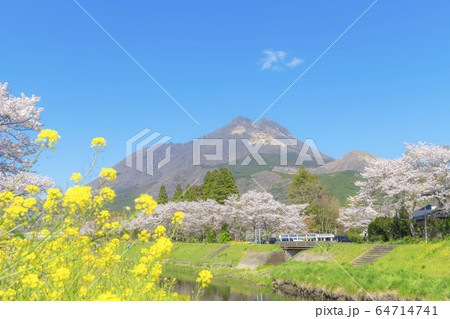 春の由布院 64714741