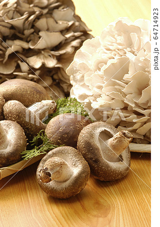 しいたけ 白マイタケ どんこ 椎茸 シイタケ 肉厚 舞茸 きのこ 食材 高級の写真素材