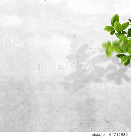 背景 壁 観葉植物のイラスト素材