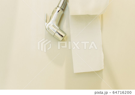 Bidet shower and toilet roll on white wall 64716200
