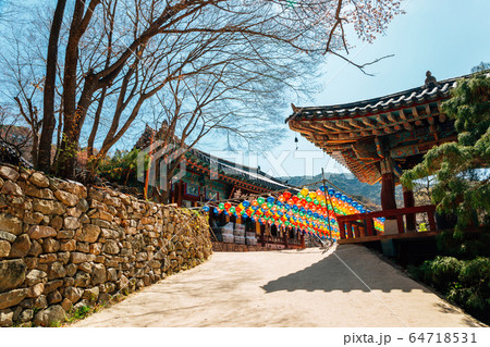 Gaesimsa Temple with Buddha's Birthday colorful lanterns in Seosan, Korea Gaesimsa Temple with Buddha's Birthday colorful lanterns in Seosan, Korea 64718531