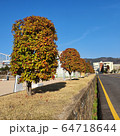 陸上 樹木 ら 64718644