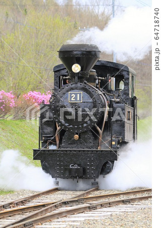 森林鉄道雨宮21号 丸瀬布森林公園いこいの森 の写真素材