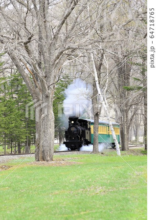 森林鉄道雨宮21号(丸瀬布森林公園いこいの森) 森林鉄道雨宮21号(丸瀬布森林公園いこいの森) 64718765