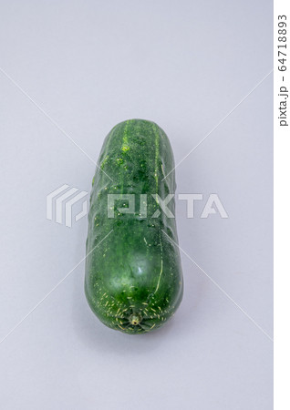 加賀野菜　太きゅうり／夏野菜 64718893