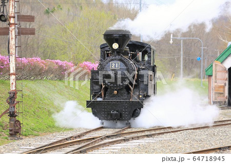 森林鉄道雨宮21号(丸瀬布森林公園いこいの森) 森林鉄道雨宮21号(丸瀬布森林公園いこいの森) 64718945