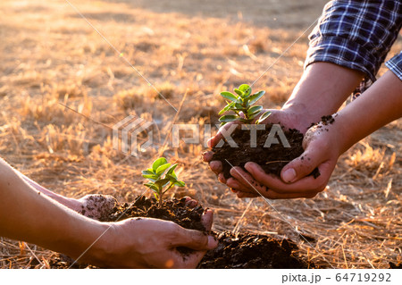 Young men join hands together to plant trees on fertile ground. The concept of protecting nature Young men join hands together to plant trees on fertile ground. The concept of protecting nature 64719292