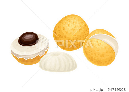 Longan Fruit of Circular Shape Showing Translucent Flesh and Black Seed Inside Vector Illustration Longan Fruit of Circular Shape Showing Translucent Flesh and Black Seed Inside Vector Illustration 64719308