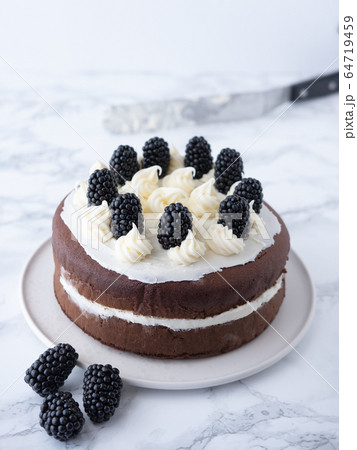 料理写真 フルーツケーキ ブラックベリー Fruit Cake Blackberryの写真素材