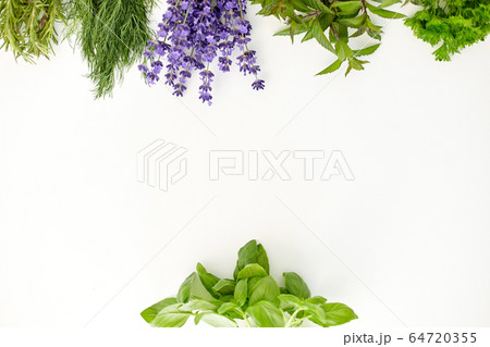 greens, spices or medicinal herbs on white 64720355