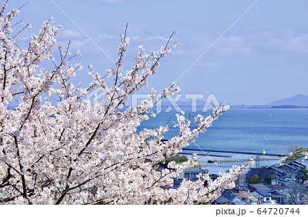 琵琶湖と桜 64720744