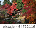 池とモミジ 64722116
