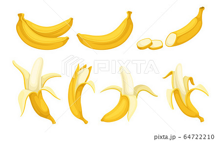 Yellow Banana Fruit Whole and Chopped with Peel and Without Vector Set 64722210