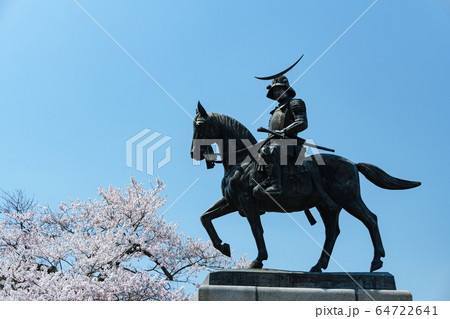 桜と伊達政宗像 騎馬像 桜と伊達政宗像 騎馬像 64722641