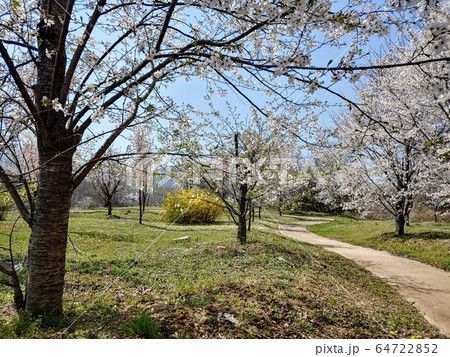 自然 風景 自然の風景 64722852