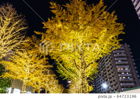 光が丘公園のイルミネーション 東京夜景 光が丘公園のイルミネーション 東京夜景 64723196